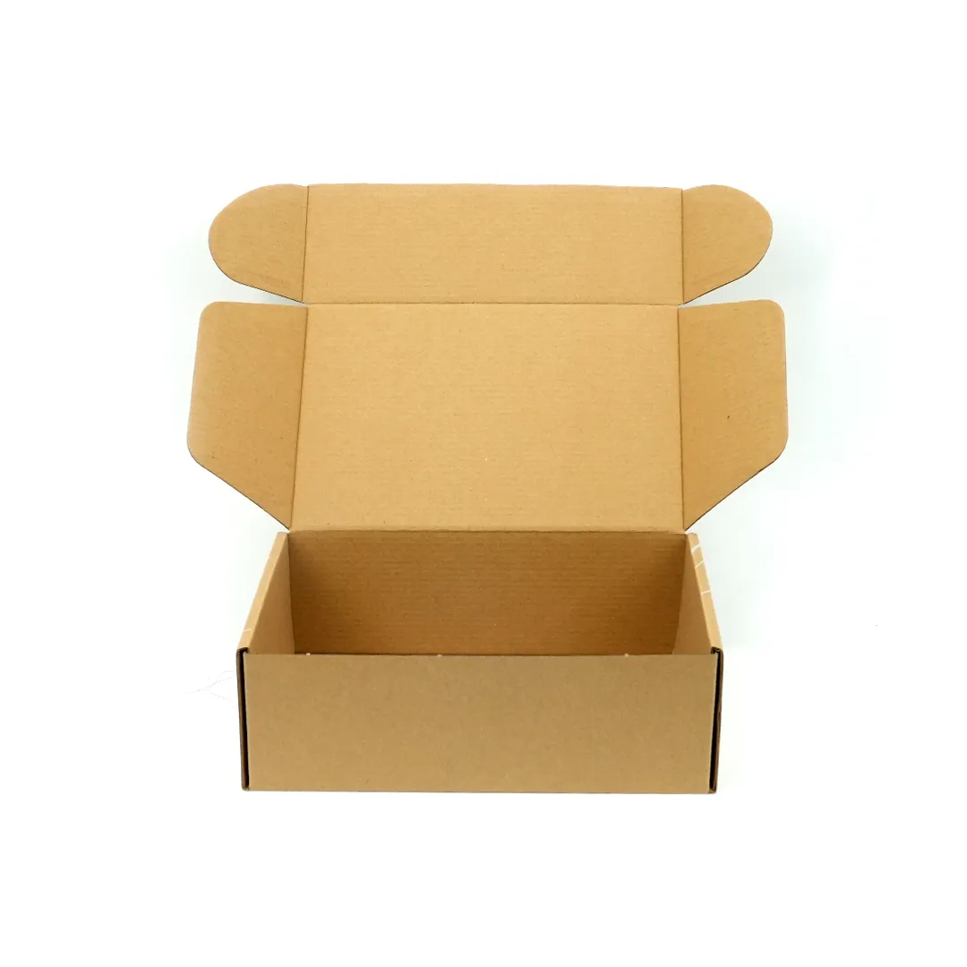 CAJA AUTOARMABLE DE 320X250X100